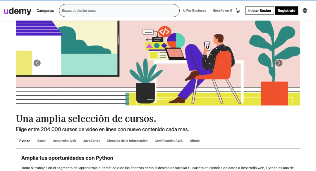 Clon de Udemy